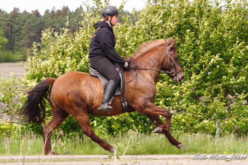 _MG_2122 a.jpg - Elding von Heidmoor